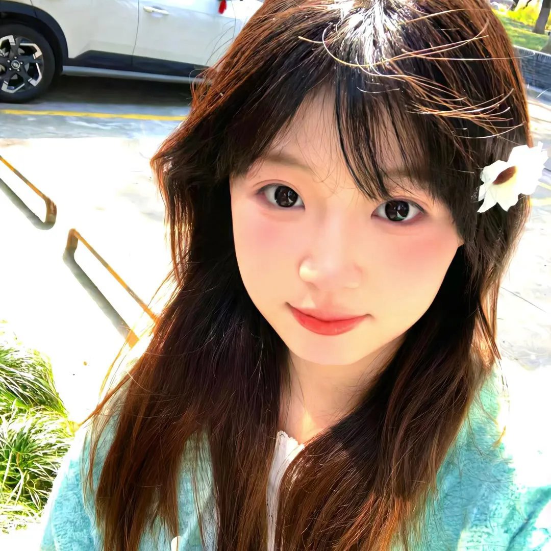 鹡鸰女神第一季